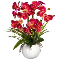 Creativ Green Kunstorchidee "Phalaenopsis", beige (creme, pink), H:58cm, Obermaterial: 90% Kunststoff, 10% Polyester, Kunstpflanzen, Kunstorchidee, im Keramiktopf