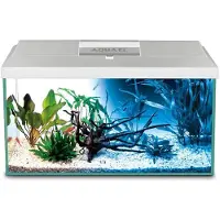 Aquael Shirmp D And N Komplettes Aquarium 19l