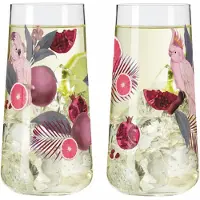 Ritzenhoff 2er- Set: Trinkgläser "Sommersonett" in Pink - 610 ml - onesize