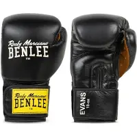 Benlee Evans Lederboxhandschuhe