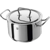 Zwilling TWIN Classic 66583-200 Kochtopf inkl. Deckel, Edelstahl, 20 cm Durchmesser, Induktionsherd-geeignet