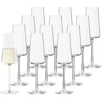 Stölzle Champagnerglas "Champagnergläser Power 240 ml 12er Set transparent"