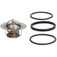 THERMOTEC Thermostat, Kühlmittel D2R003TT