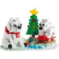 LEGO Iconic Eisbären im Winter, Bausatz, 9 Jahr(e), Kunststoff, 312 Stück(e), 246 g