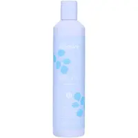 Echos Line Volume Shampoo 300 ml