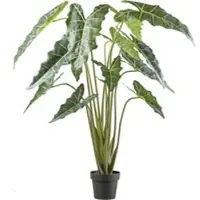 Pflanzen-Kölle Künstliche Alocasia zebrina 'Sarian', Höhe ca. 160 cm