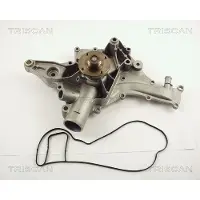 TRISCAN Wasserpumpe 8600 23013