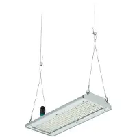 Philips Signify Lighting LED-Hallenleuchte BY580P 100 #59412800
