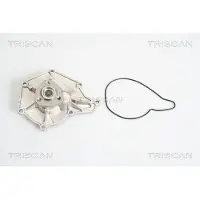 TRISCAN Wasserpumpe 8600 29040