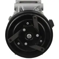 BV PSH 090.575.014.040 CVC6 Klimaanlage Klimakompressor PAG 46 R134a für RENAULT SCÉNIC II (JM0/1) MEGANE II Coupé-Cabriolet (EM0/1) MEGANE II Kombi