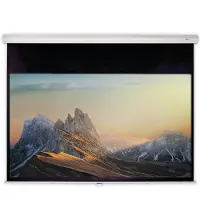 Celexon DELUXX Advanced Rolloleinwand Mattweiß Polaro inkl. Softeinzug - 4:3 - 234x175 cm - 115''
