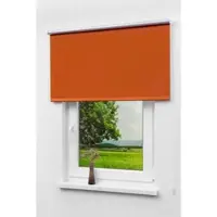 LYSEL Outlet - Verdunkelungsrollo Thermo Rotorange, (B x H) 122.50cm x 175cm in orange/rotorange