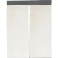 Trendteam Bad Spiegelschrank Amanda Grau Melamin/Agave grau HG.TZ 60 x 77 x 17 cm