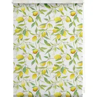 Lichtblick Rollo Verdunkelung ohne Bohren Klemmbar, Anschraubbar 70 cm x 150 cm (B x L)
