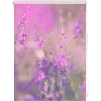 Lichtblick Original Seitenzugrollo "Rollo Klemmfix, ohne Bohren, Verdunkelung, Blumenwiese" verdunkelnd Verdunkelung energiesparend freihängend