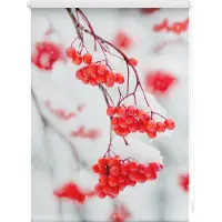 Lichtblick Rollo Klemmfix, ohne Bohren, blickdicht, Vogelbeeren - Rot Weiß 60 x 150 cm (B x L)