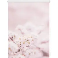 Lichtblick Rollo Klemmfix, ohne Bohren, Verdunkelung, Kirschblüten - Rosa Weiß 70 x 150 cm
