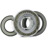 RIDEX Radlagersatz Hinten Links Rechts für HYUNDAI TERRACAN (HP) 80mm 654W0982