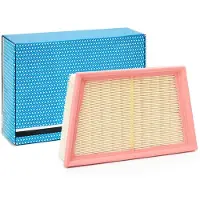 PURFLUX Luftfilter A1810