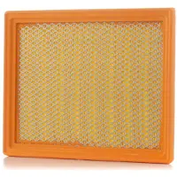 PURFLUX Luftfilter A364