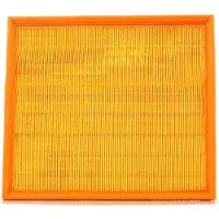 PURFLUX Luftfilter A1029