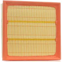 PURFLUX Luftfilter A1223