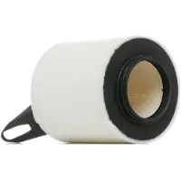 RIDEX Luftfilter BMW 8A0407 13717524412 Motorluftfilter,Filter für Luft