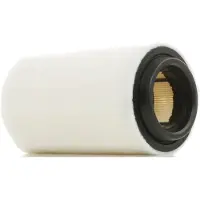 RIDEX 8A0322 Luftfilter für MINI Schrägheck (R56)