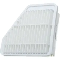 FILTRON Luftfilter AP144/3