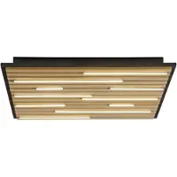 Paul Neuhaus Paul Q-Akustik 6423 LED-Wand- und Deckenleuchte