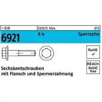 Hörger & Geßler Sechskantschraube DIN 6921 m.Flansch M 6 x 12 A 4 m.Sperrzahnung