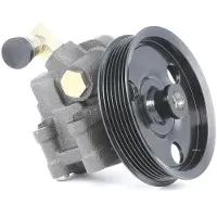 RIDEX 12H0116 Servolenkung Pumpe Servopumpe für FORD FOCUS (DAW, DBW) Hydraulisch