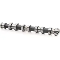 RIDEX 566C0018 Nockenwelle für OPEL Corsa D Schrägheck (S07) Corsa C Schrägheck (X01) Meriva A (X03) Astra H Caravan (A04) Astra H Schrägheck (A04)