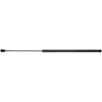RIDEX Heckklappendämpfer CITROËN 219G0130 8731P2,8731P4,8731T0 8731T1,9654433580