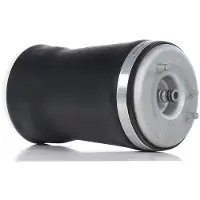 RIDEX 4119A0019 Luftfederung Luftfeder für BMW X5 (E53) Hinten Links