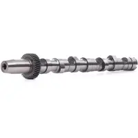 RIDEX 566C0006 Nockenwelle für VW PASSAT Variant (3B6) für AUDI A4 Avant (8E5, B6) A4 Limousine (8D2, B5) A4 Avant (8D5, B5) A6 Avant (4B5, C5)