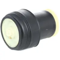 RIDEX 4119A0006 Luftfederung Luftfeder für BMW X5 (E70) Hinten