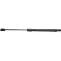 RIDEX Heckklappendämpfer RENAULT 219G0190 7701057303,7701062024,904525806R E84827465A