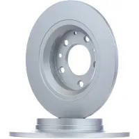 Delphi Bremsscheiben BG3875C hinten, voll, 2 Stück