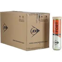 Dunlop Tennisball Dunlop Fort Clay Court 4-Tin (Dose 18x4) 2020