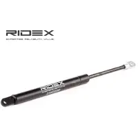RIDEX Heckklappendämpfer CITROËN 219G0267 8731K8,9661815180