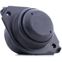 RIDEX Motorlager MERCEDES-BENZ 247E0286 A2512402917,A2512403117,A2512404417 Lagerung, Motor,Motoraufhängung,Motorhalter,Hydrolager 2512402917