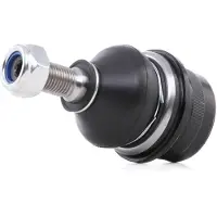 RIDEX Traggelenk außen oben Vorne für RENAULT MASTER III Kasten (FV) 2462S0057