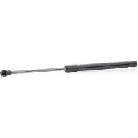 RIDEX 219G1008 Gasfeder Heckklappendämpfer für CHEVROLET MATIZ (M200, M250) 406mm