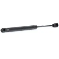 RIDEX 219G0898 Gasfeder Heckklappendämpfer für MITSUBISHI Lancer VIII Limousine (CYA, CZA) 298mm