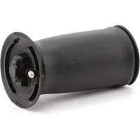 RIDEX 4119A0028 Luftfederung Luftfeder für BMW 5 Touring (E61) Hinten Rechts Hinten Links