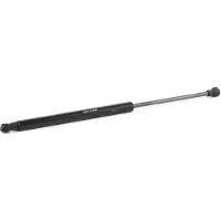 RIDEX Gasfeder Heckscheibe 2454G0021 beidseitig für RENAULT Scénic I (JA0/1, FA0) 428mm Stahl