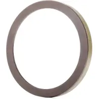 RIDEX 2254S0027 Weitere ABS-Teile ABS Ring für RENAULT Clio III Schrägheck (BR0/1, CR0/1) hinten beidseitig