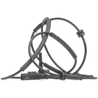 Delphi Sensor, Raddrehzahl SS20635