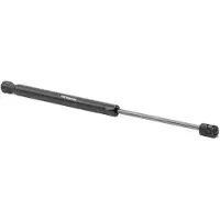RIDEX 219G0862 Gasfeder Heckklappendämpfer für CHEVROLET Aveo / Kalos Schrägheck (T250, T255) 386,5mm